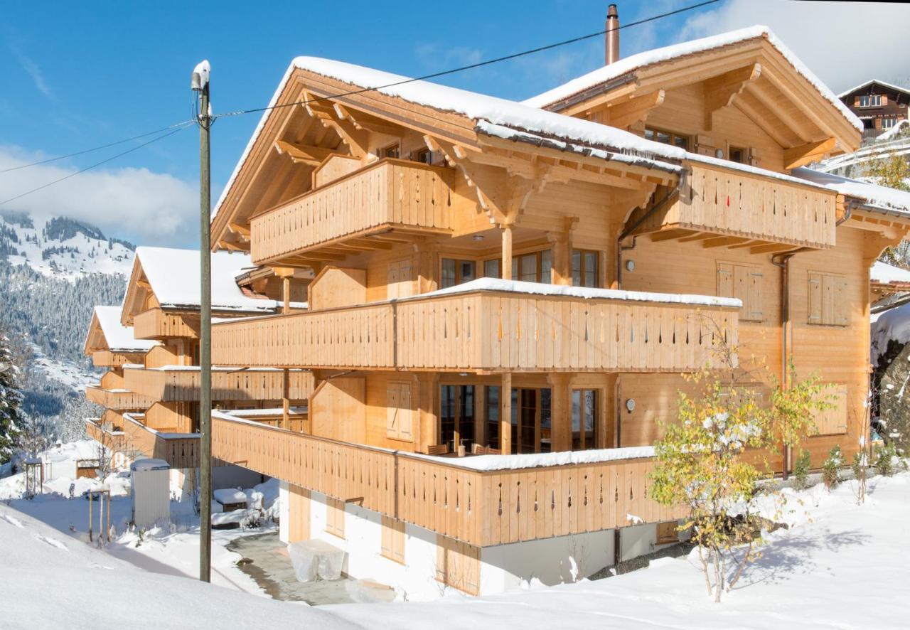 וונגן Panoramapark Soleil Chalet C מראה חיצוני תמונה